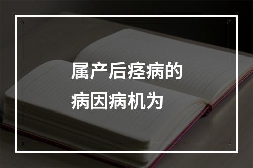 属产后痉病的病因病机为