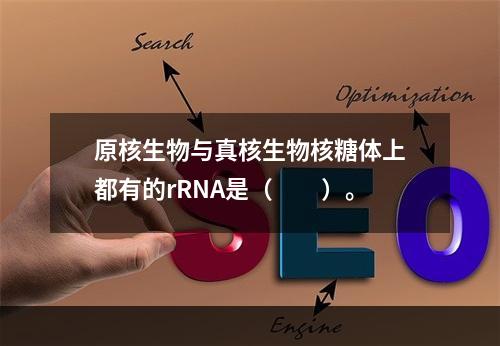 原核生物与真核生物核糖体上都有的rRNA是（　　）。