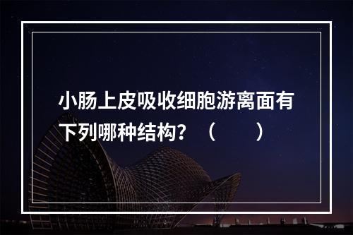 小肠上皮吸收细胞游离面有下列哪种结构？（　　）