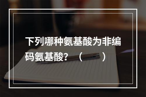 下列哪种氨基酸为非编码氨基酸？（　　）