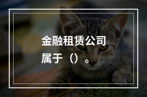 金融租赁公司属于（）。