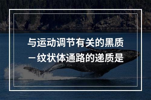 与运动调节有关的黑质－纹状体通路的递质是