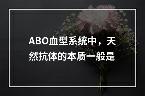 ABO血型系统中，天然抗体的本质一般是