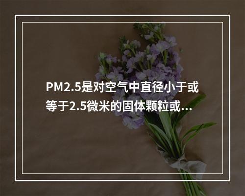 PM2.5是对空气中直径小于或等于2.5微米的固体颗粒或液