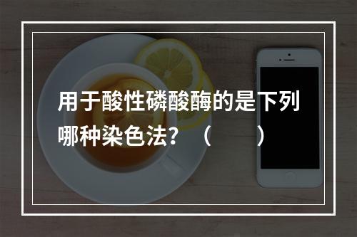 用于酸性磷酸酶的是下列哪种染色法？（　　）