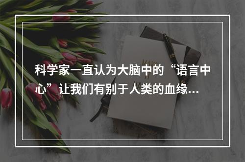 科学家一直认为大脑中的“语言中心”让我们有别于人类的血缘近