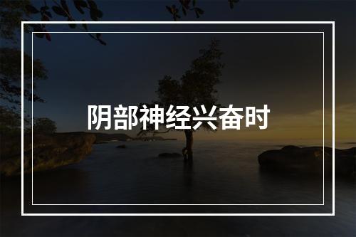 阴部神经兴奋时