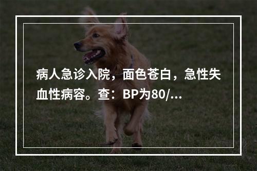 病人急诊入院，面色苍白，急性失血性病容。查：BP为80/50