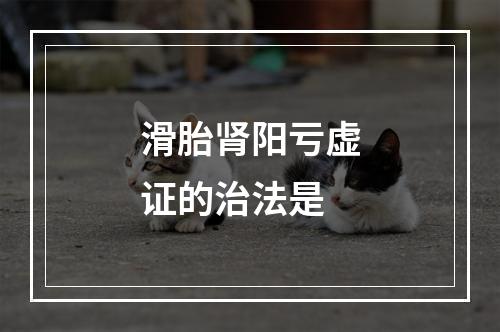 滑胎肾阳亏虚证的治法是