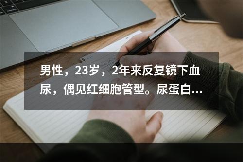 男性，23岁，2年来反复镜下血尿，偶见红细胞管型。尿蛋白定量