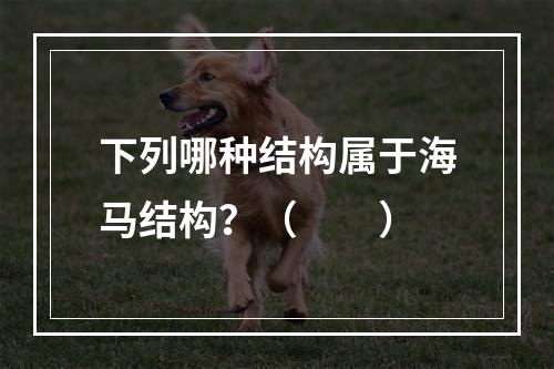 下列哪种结构属于海马结构？（　　）