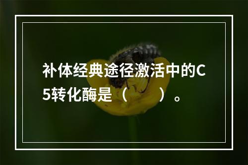 补体经典途径激活中的C5转化酶是（　　）。