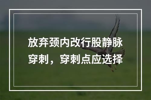 放弃颈内改行股静脉穿刺，穿刺点应选择