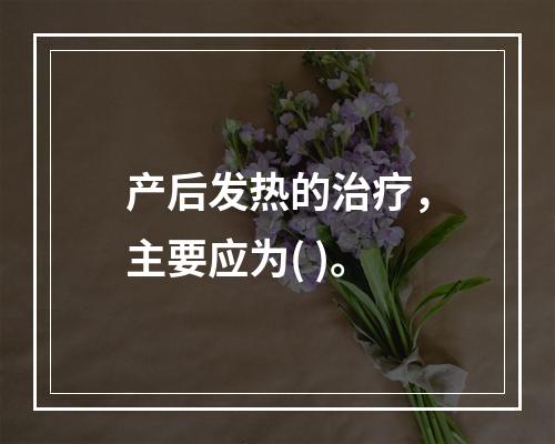 产后发热的治疗，主要应为( )。