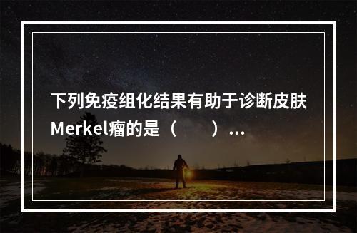 下列免疫组化结果有助于诊断皮肤Merkel瘤的是（　　）。