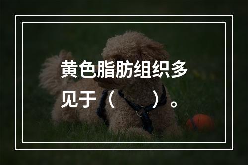 黄色脂肪组织多见于（　　）。