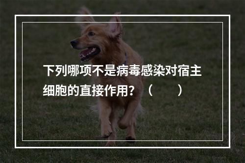 下列哪项不是病毒感染对宿主细胞的直接作用？（　　）