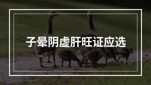 子晕阴虚肝旺证应选