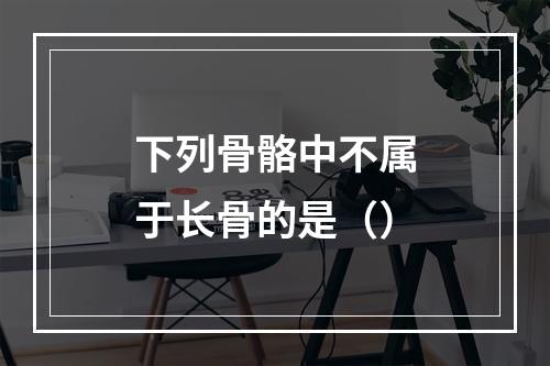 下列骨骼中不属于长骨的是（）