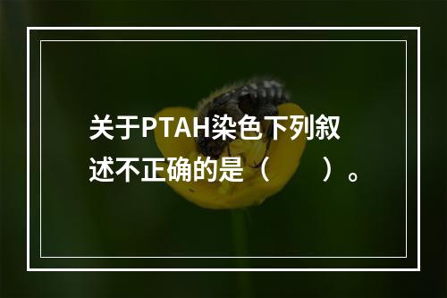 关于PTAH染色下列叙述不正确的是（　　）。