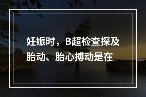 妊娠时，B超检查探及胎动、胎心搏动是在