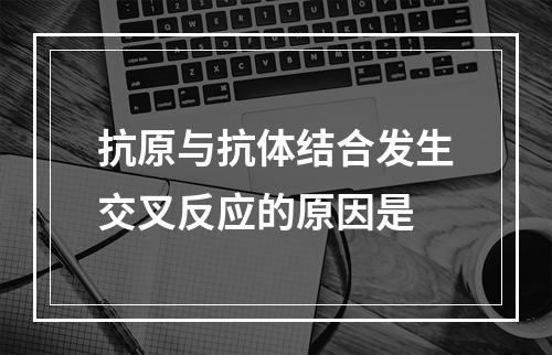 抗原与抗体结合发生交叉反应的原因是