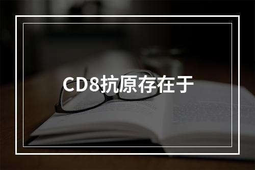 CD8抗原存在于