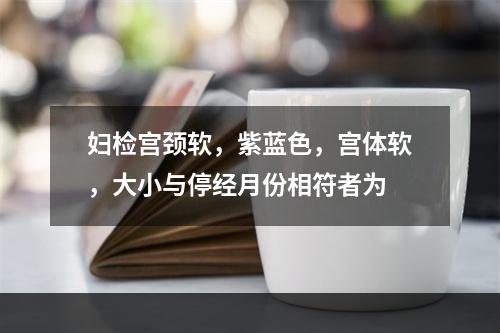 妇检宫颈软，紫蓝色，宫体软，大小与停经月份相符者为