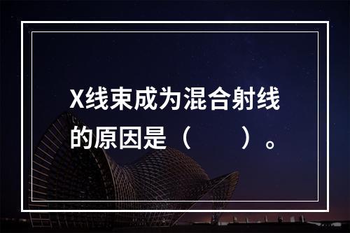 X线束成为混合射线的原因是（　　）。