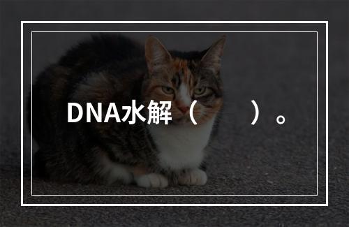 DNA水解（　　）。