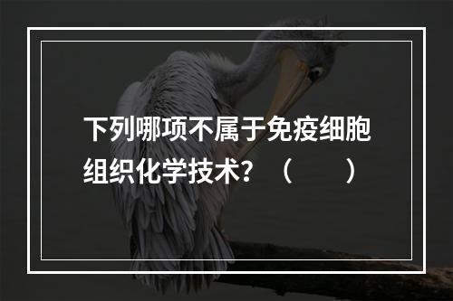 下列哪项不属于免疫细胞组织化学技术？（　　）