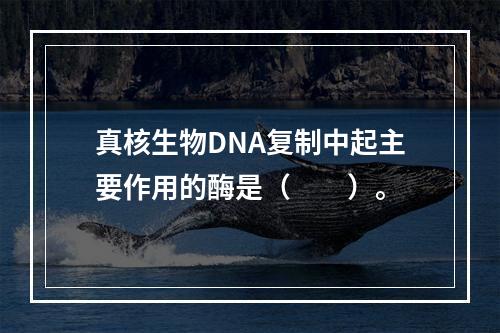 真核生物DNA复制中起主要作用的酶是（　　）。