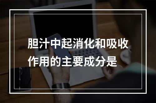 胆汁中起消化和吸收作用的主要成分是