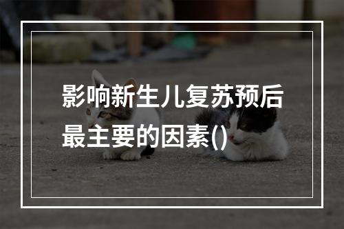 影响新生儿复苏预后最主要的因素()