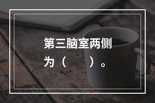 第三脑室两侧为（　　）。