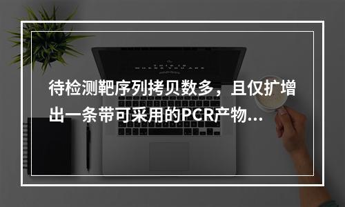 待检测靶序列拷贝数多，且仅扩增出一条带可采用的PCR产物分析