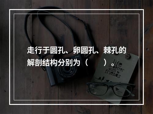 走行于圆孔、卵圆孔、棘孔的解剖结构分别为（　　）。