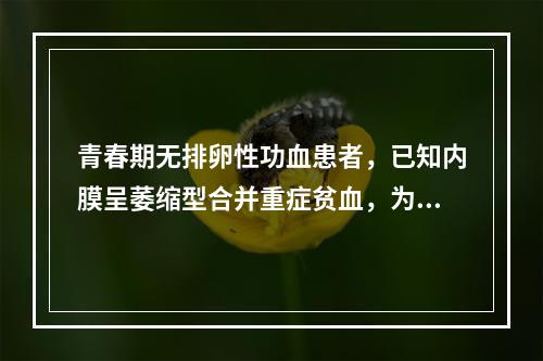 青春期无排卵性功血患者，已知内膜呈萎缩型合并重症贫血，为达止