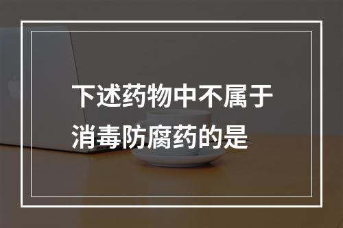 下述药物中不属于消毒防腐药的是