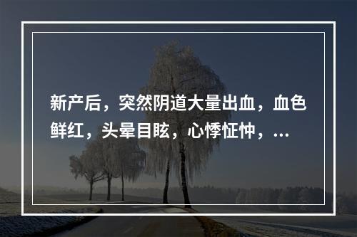 新产后，突然阴道大量出血，血色鲜红，头晕目眩，心悸怔忡，气短