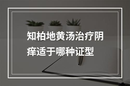 知柏地黄汤治疗阴痒适于哪种证型