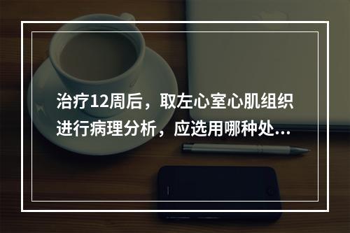 治疗12周后，取左心室心肌组织进行病理分析，应选用哪种处死方