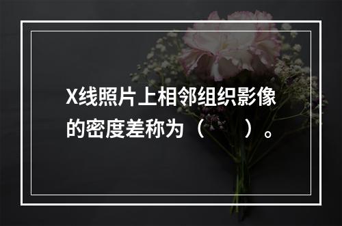 X线照片上相邻组织影像的密度差称为（　　）。