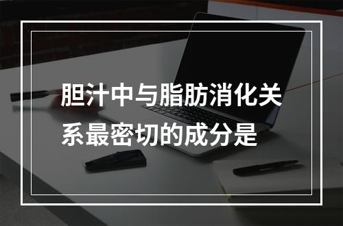 胆汁中与脂肪消化关系最密切的成分是