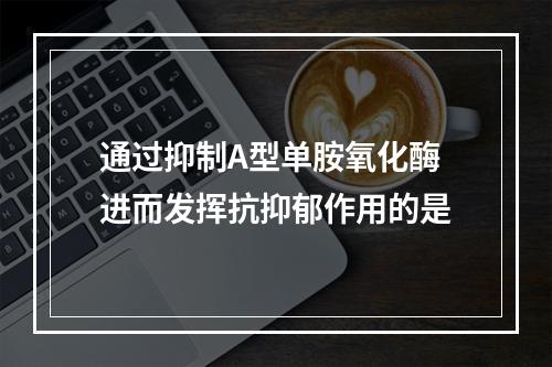 通过抑制A型单胺氧化酶进而发挥抗抑郁作用的是