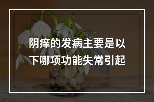 阴痒的发病主要是以下哪项功能失常引起