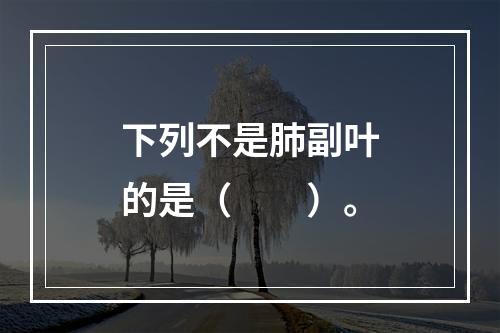 下列不是肺副叶的是（　　）。