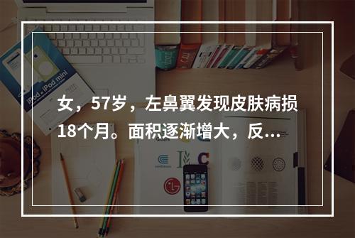 女，57岁，左鼻翼发现皮肤病损18个月。面积逐渐增大，反复出