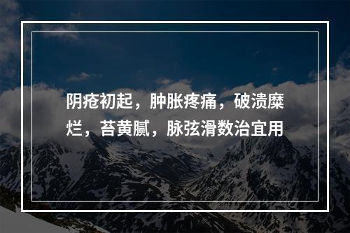 阴疮初起，肿胀疼痛，破溃糜烂，苔黄腻，脉弦滑数治宜用