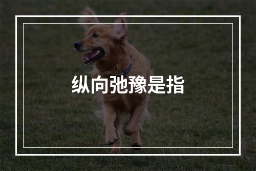 纵向弛豫是指